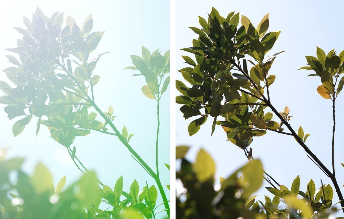 Sigma 28mm F1.4 DG HSM Art