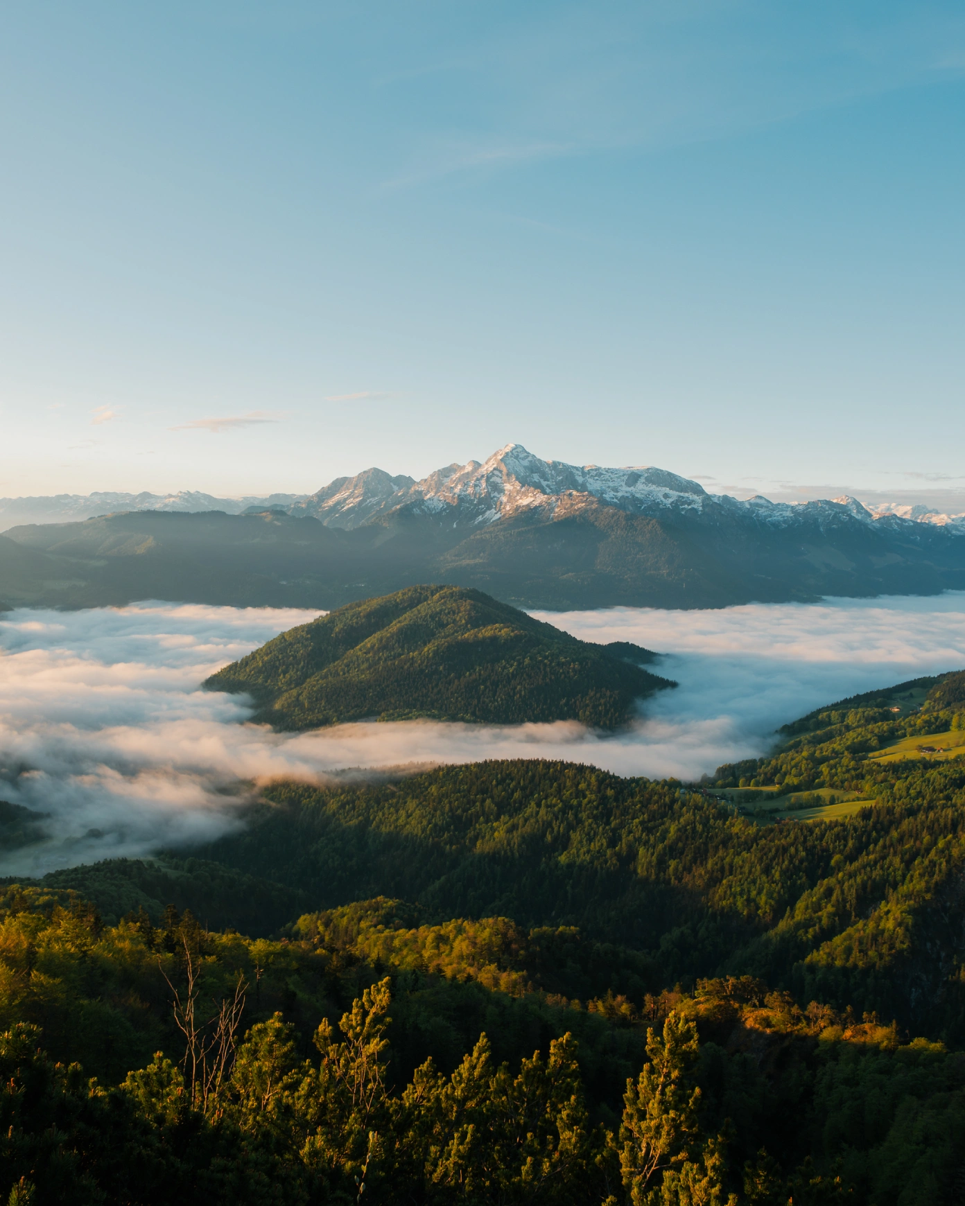 Fotografiranje teka po brezpotjih: Lepota široke zaslonke